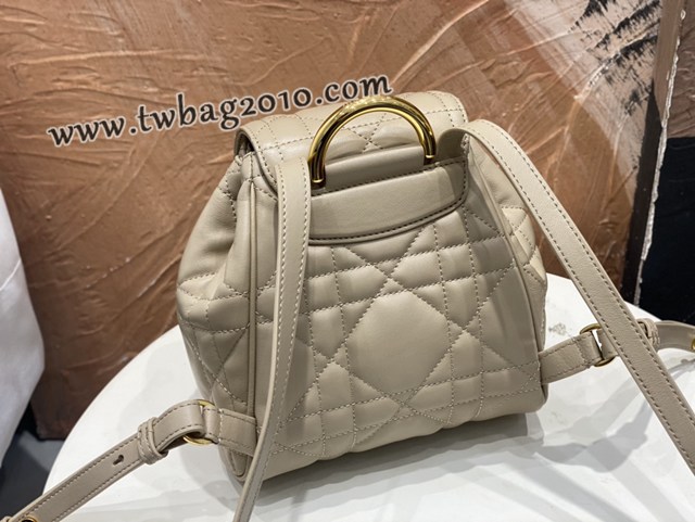 Dior专柜2025早春新款迪奥高仿原单小号Caro双肩背包女士后背包 djfk1818